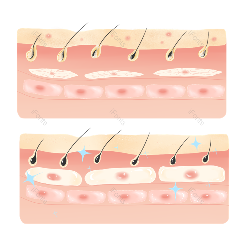化妆品图片,化妆元素,美妆PNG,护肤免抠素材